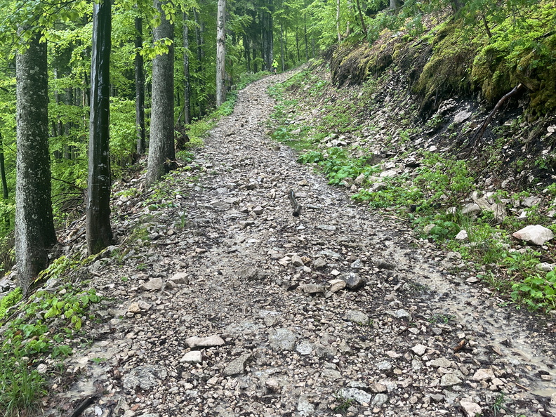 23-05-23 12-38-07 5586